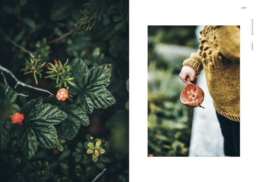 Arctic Knitting - Annika Konttaniemi (w języku angielskim) - obrazek 13