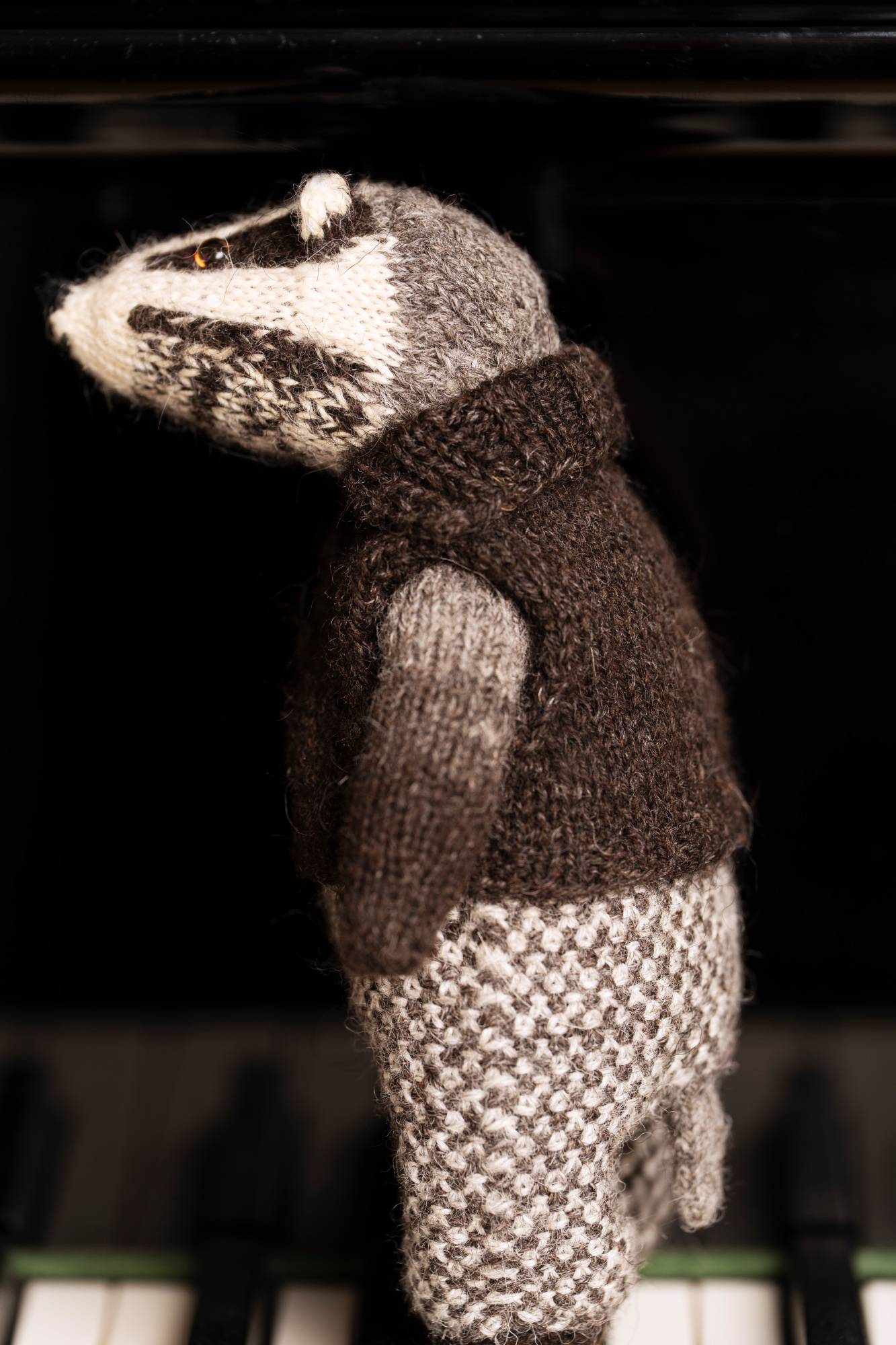 Chez Myrtil - More Seamless Friends To Knit And Love - Cinthia Vallet (w języku angielskim) - obrazek 9
